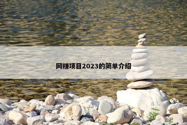 网赚项目2023的简单介绍