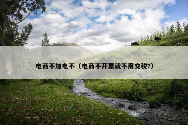 电商不加电不（电商不开票就不用交税?）