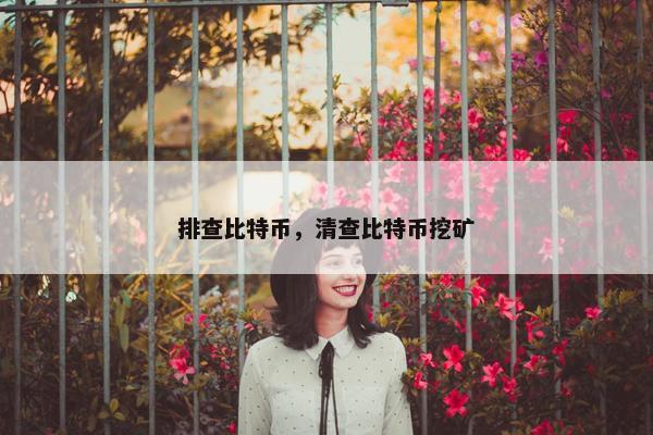 排查比特币，清查比特币挖矿
