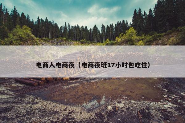 电商人电商夜（电商夜班17小时包吃住）