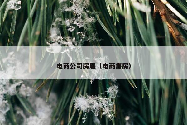 电商公司房屋（电商售房）