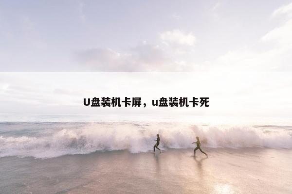U盘装机卡屏，u盘装机卡死