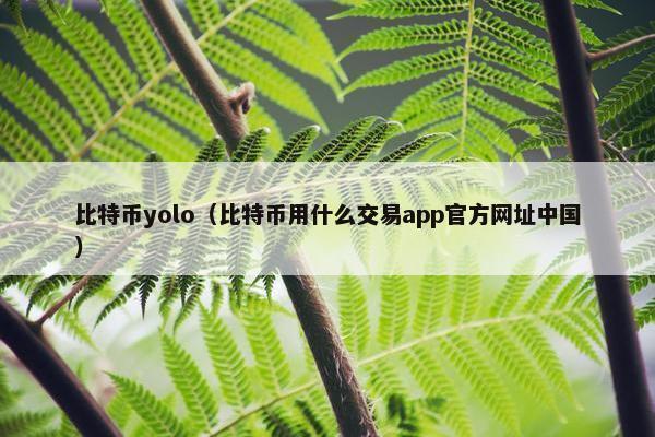 比特币yolo（比特币用什么交易app官方网址中国）