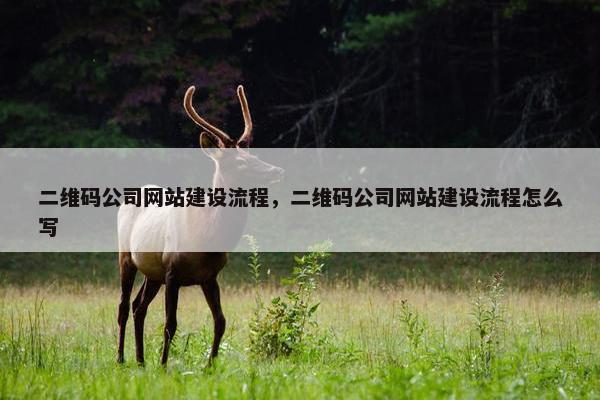 二维码公司网站建设流程，二维码公司网站建设流程怎么写