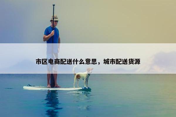 市区电商配送什么意思，城市配送货源