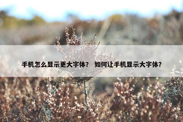 手机怎么显示更大字体？ 如何让手机显示大字体？