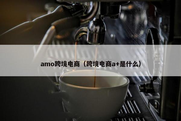 amo跨境电商（跨境电商a+是什么）