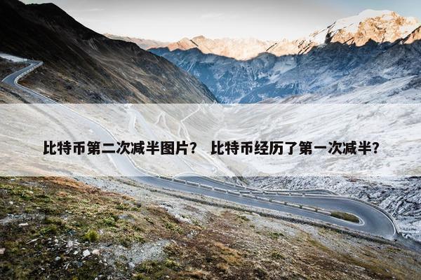 比特币第二次减半图片？ 比特币经历了第一次减半？