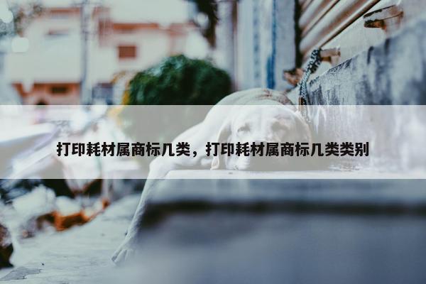 打印耗材属商标几类，打印耗材属商标几类类别