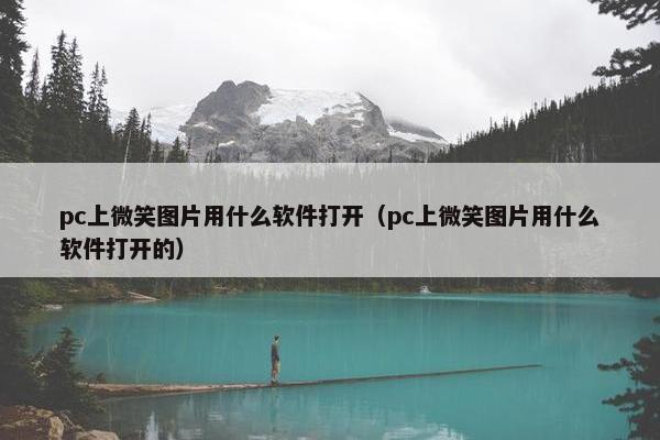 pc上微笑图片用什么软件打开（pc上微笑图片用什么软件打开的）