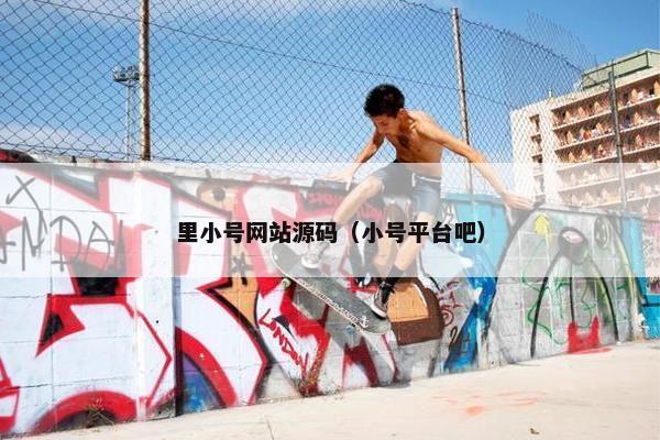 里小号网站源码（小号平台吧）