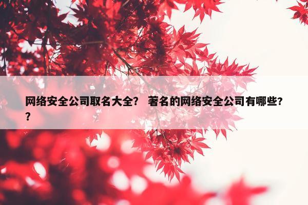 网络安全公司取名大全？ 著名的网络安全公司有哪些?？