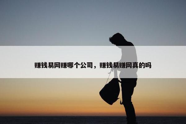 赚钱易网赚哪个公司，赚钱易赚网真的吗