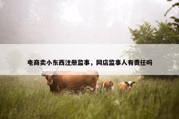 电商卖小东西注册监事，网店监事人有责任吗