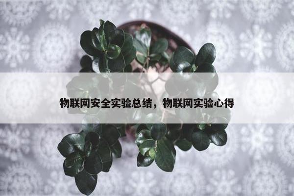 物联网安全实验总结，物联网实验心得