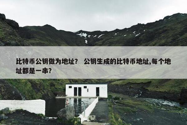 比特币公钥做为地址？ 公钥生成的比特币地址,每个地址都是一串？