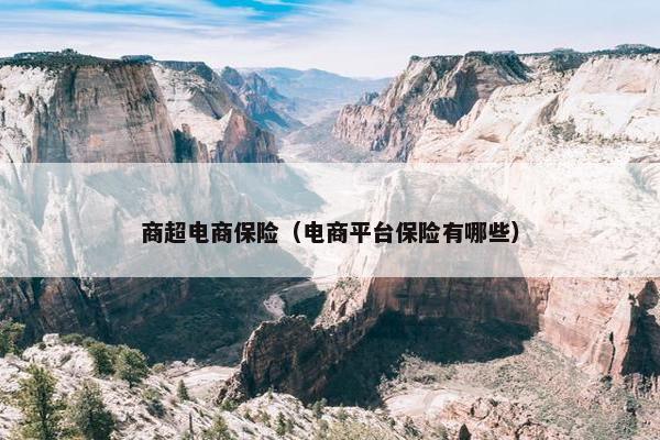 商超电商保险（电商平台保险有哪些）