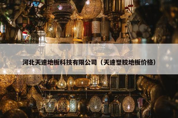 河北天速地板科技有限公司（天速塑胶地板价格）