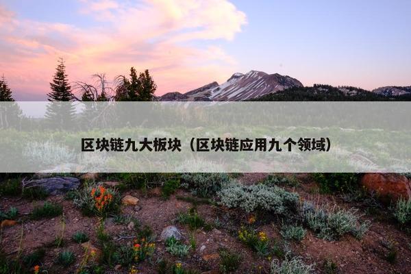 区块链九大板块（区块链应用九个领域）
