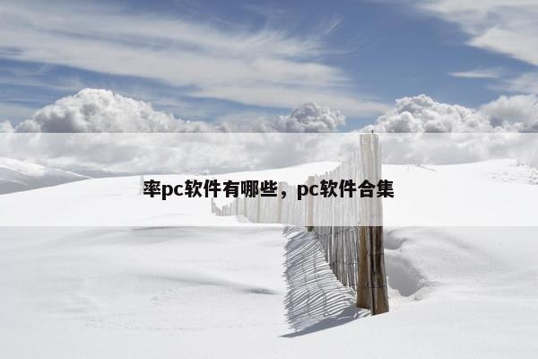 率pc软件有哪些，pc软件合集