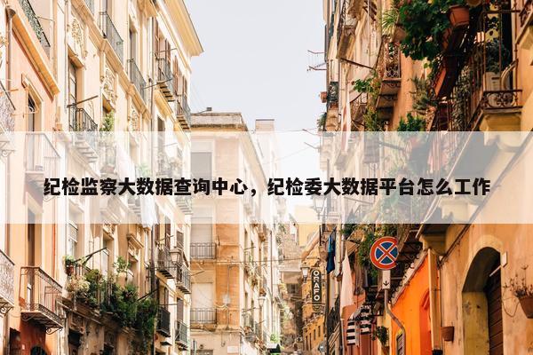 纪检监察大数据查询中心，纪检委大数据平台怎么工作