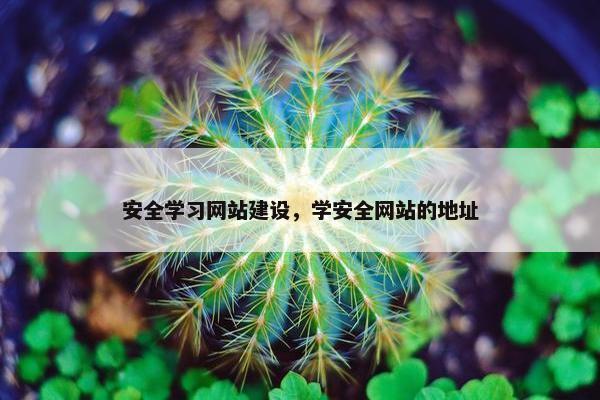 安全学习网站建设，学安全网站的地址