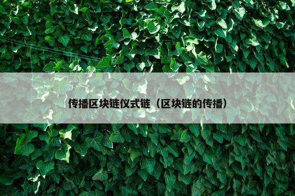 传播区块链仪式链（区块链的传播）