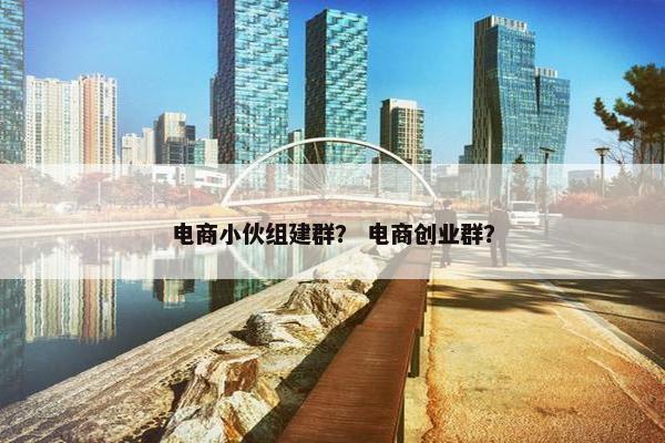 电商小伙组建群？ 电商创业群？