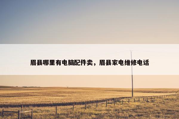 眉县哪里有电脑配件卖，眉县家电维修电话