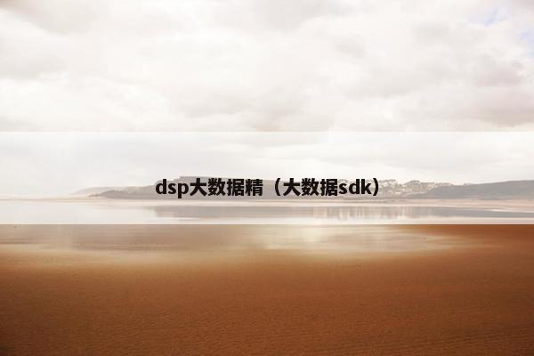 dsp大数据精（大数据sdk）