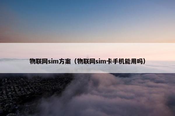 物联网sim方案（物联网sim卡手机能用吗）