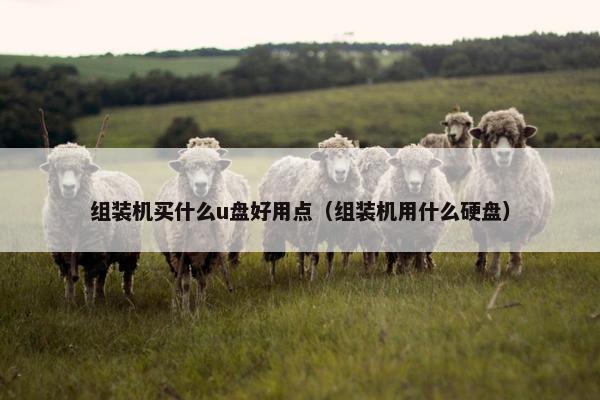 组装机买什么u盘好用点（组装机用什么硬盘）