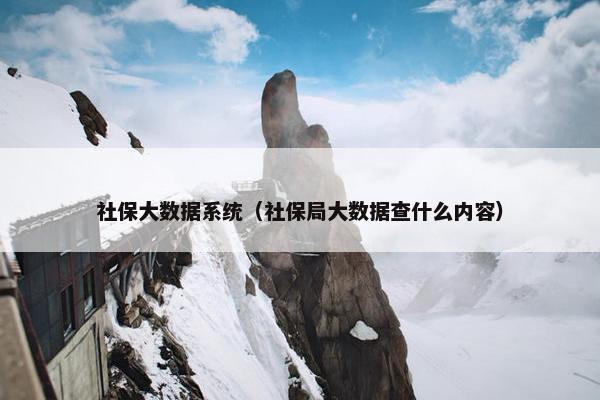 社保大数据系统（社保局大数据查什么内容）
