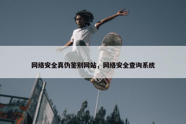 网络安全真伪鉴别网站，网络安全查询系统