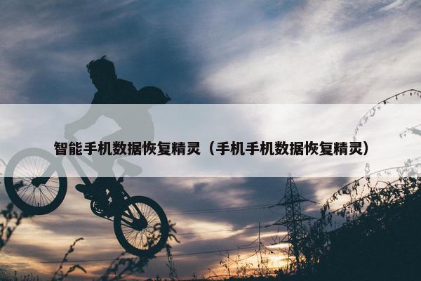 智能手机数据恢复精灵（手机手机数据恢复精灵）