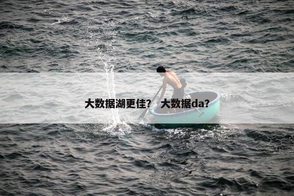 大数据湖更佳？ 大数据da？