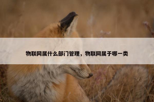 物联网属什么部门管理，物联网属于哪一类