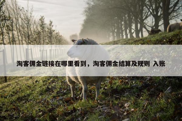 淘客佣金链接在哪里看到，淘客佣金结算及规则 入账