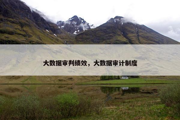 大数据审判绩效，大数据审计制度