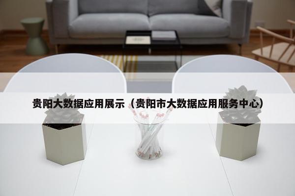 贵阳大数据应用展示（贵阳市大数据应用服务中心）