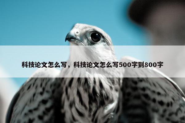科技论文怎么写，科技论文怎么写500字到800字