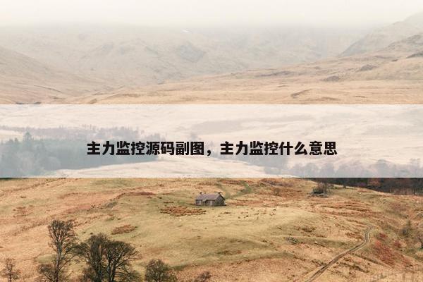 主力监控源码副图，主力监控什么意思