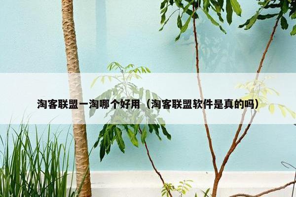 淘客联盟一淘哪个好用（淘客联盟软件是真的吗）