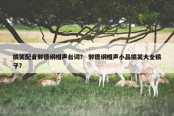 搞笑配音郭德纲相声台词？ 郭德纲相声小品搞笑大全稿子？