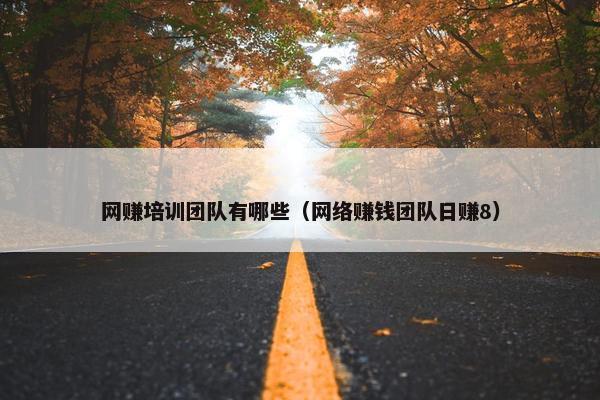 网赚培训团队有哪些（网络赚钱团队日赚8）