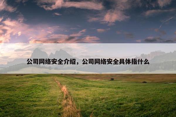 公司网络安全介绍，公司网络安全具体指什么
