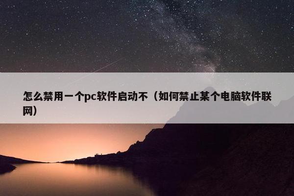 怎么禁用一个pc软件启动不（如何禁止某个电脑软件联网）