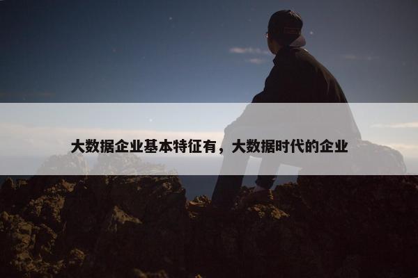 大数据企业基本特征有，大数据时代的企业