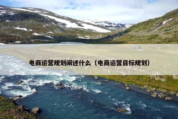 电商运营规划阐述什么（电商运营目标规划）