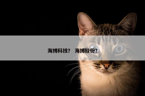 海博科技？ 海博股份？